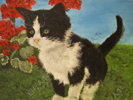 油画小猫图片