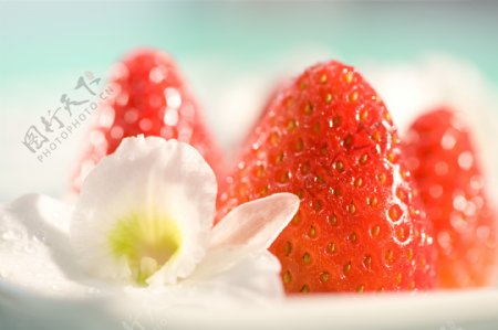 草莓鲜花图片
