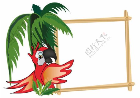 椰子鹦鹉相框图片