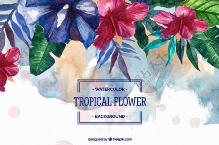 水彩绘热带花卉背景矢量素材