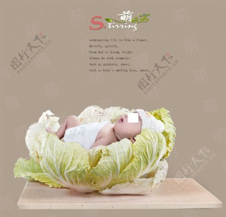 白菜公主婴儿主题海报