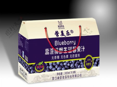 蓝莓汁产品包装效果图