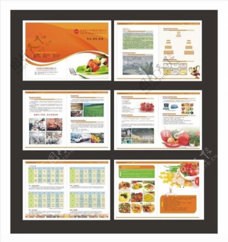 饮食画册设计矢量素材