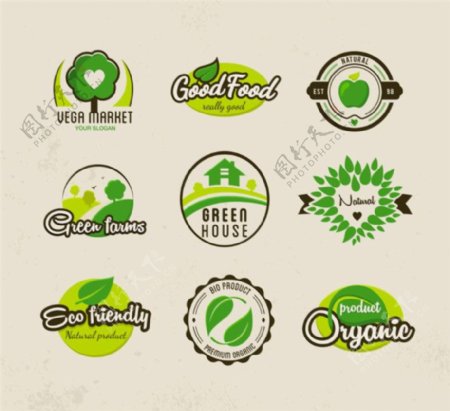 绿叶食物标签图片