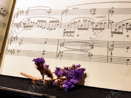 钢琴谱和花