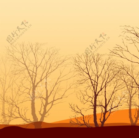夕阳下大漠单色大树黄昏图装饰画