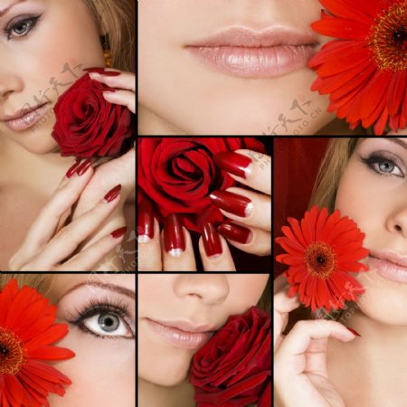 纤纤玉指性感女人与花朵图片