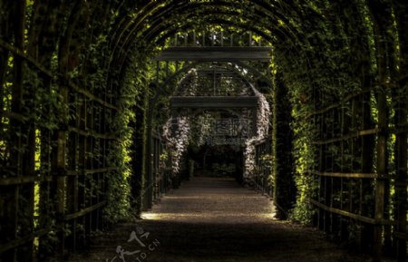 花园路径方式公园植物宫殿格罗宁根网关荷兰普林森霍夫花园Prinsentuin