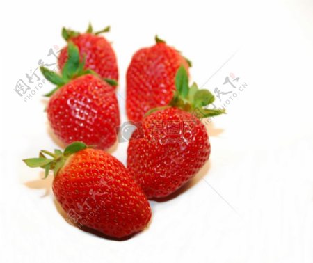 白色背景里的草莓