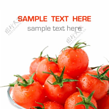 红色西红柿图片