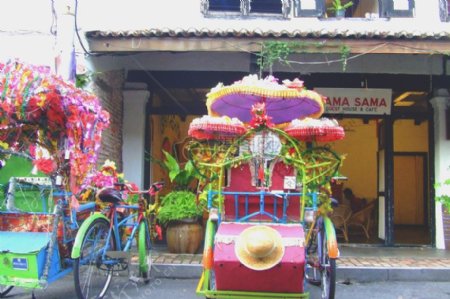 鲜花自行车生活马来西亚马六甲当地
