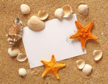 沙滩上贝壳与白纸特写图片图片