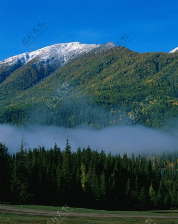 高山绿树云雾景色图片