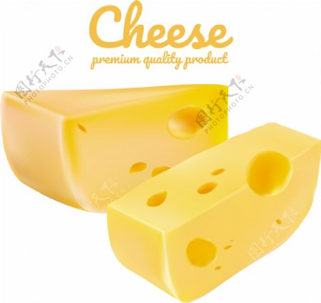 写实奶酪切片矢量素材下载