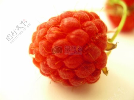一颗红色的树莓