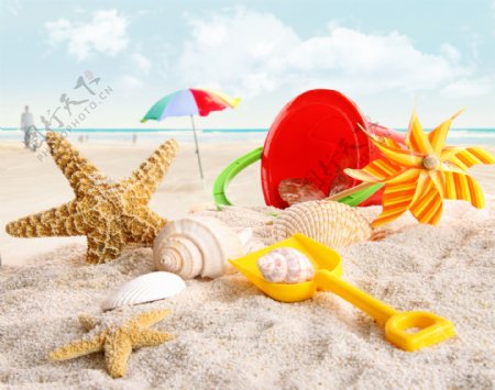海滩上的海星与贝壳图片