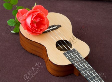 吉他和玫瑰花图片