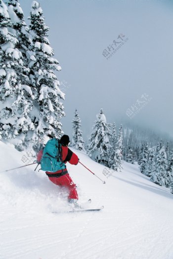 冬天高山划雪图片