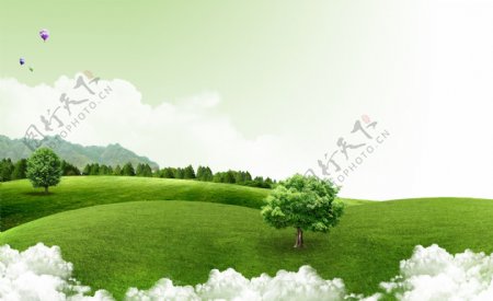 绿色草原上的树木图片