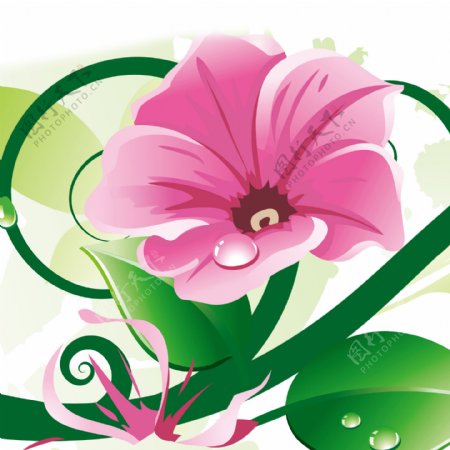 粉红色花朵与绿叶等无框画高清图片