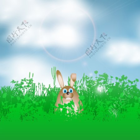 复活节兔子的插图