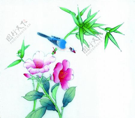 手绘鲜花植物素材图片