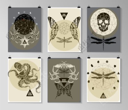 骷髅动物昆虫海报图片
