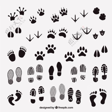 动物和人类的脚印