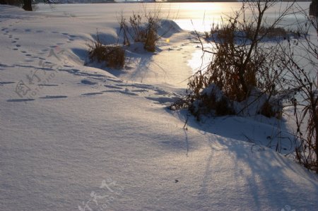 冬季雪景摄影图片