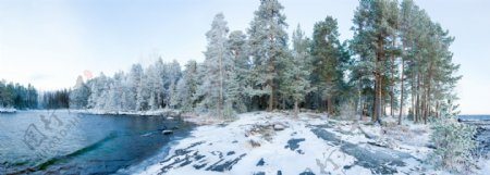 冬天的湖面树林风景图片