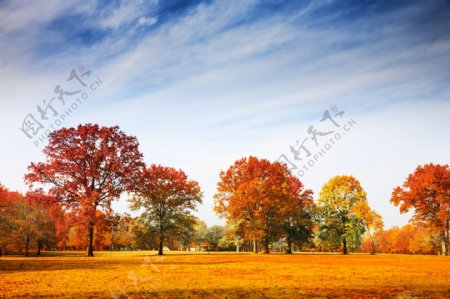 秋天自然风景图片