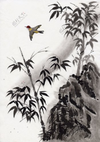 水墨风景林中飞鸟图片图片