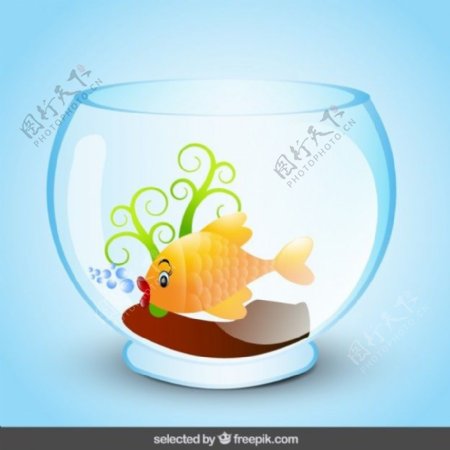 鱼缸里的鱼卡通