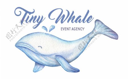 手绘彩铅鲸鱼logo