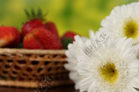 菊花和草莓图片