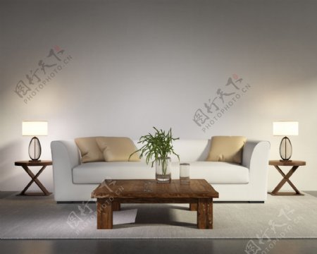 白色沙发装饰图片