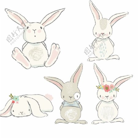 兔子水彩素材