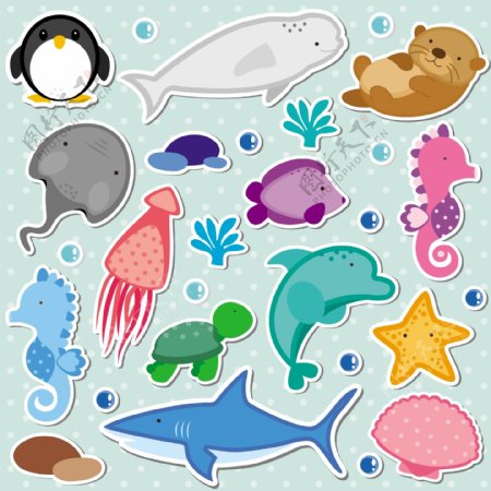 海洋动物集合