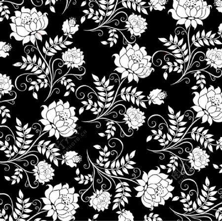 黑白莲花花卉纹样