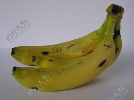 Bananas5.JPG