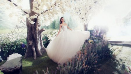 鲜花与美丽的新娘摄影图片