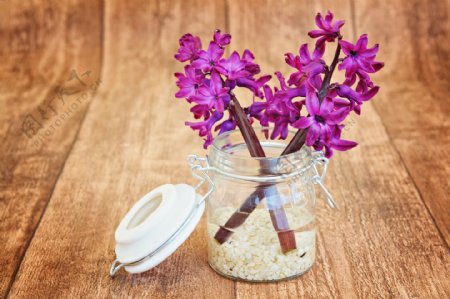 花卉无框画有框画装饰画紫色花透明花瓶简约