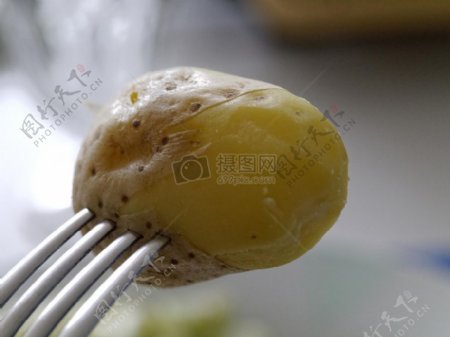 叉子上的蒸土豆
