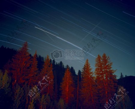 天空晚上森林树木星星长时间曝光公共领域图像