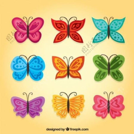 不同形状的彩色蝴蝶