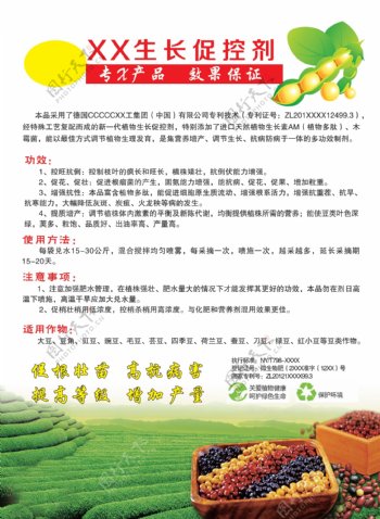 豆类生长促控剂海报设计