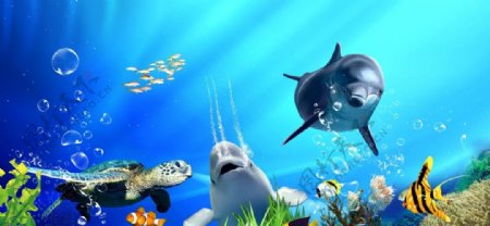 3D海底世界鲨鱼
