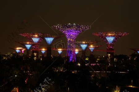 新加坡的夜景