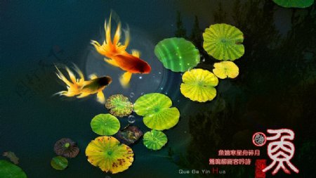 中国风海报金鱼戏水