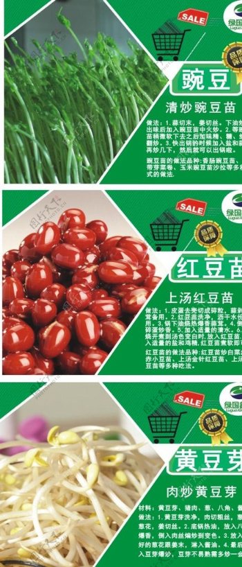 红豆豌豆海报